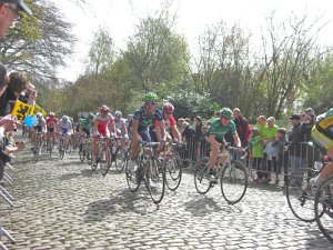 Flandern-Rundfahrt 2716